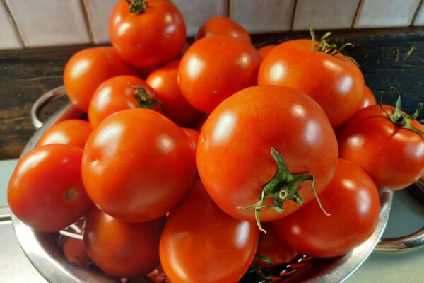 Tomatensuppe: Der Sommer im Glas